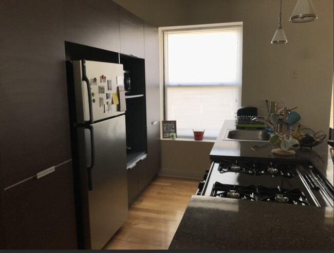 1751 W Berteau Ave in Chicago, IL - Building Photo - Building Photo