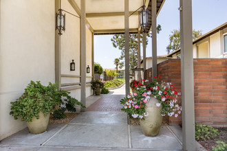 Ivy at Pickwick Park in Camarillo, CA - Foto de edificio - Building Photo