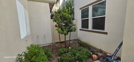 26149 Park Ave in Loma Linda, CA - Building Photo - Building Photo