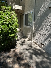 1311 W 3rd St in Chico, CA - Building Photo - Building Photo