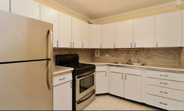 253 E Delaware Pl in Chicago, IL - Building Photo - Building Photo
