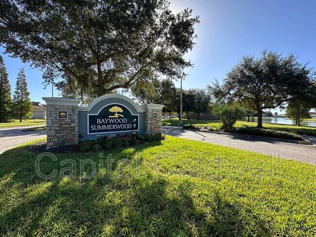 7029 White Treetop Pl in Riverview, FL - Building Photo - Building Photo