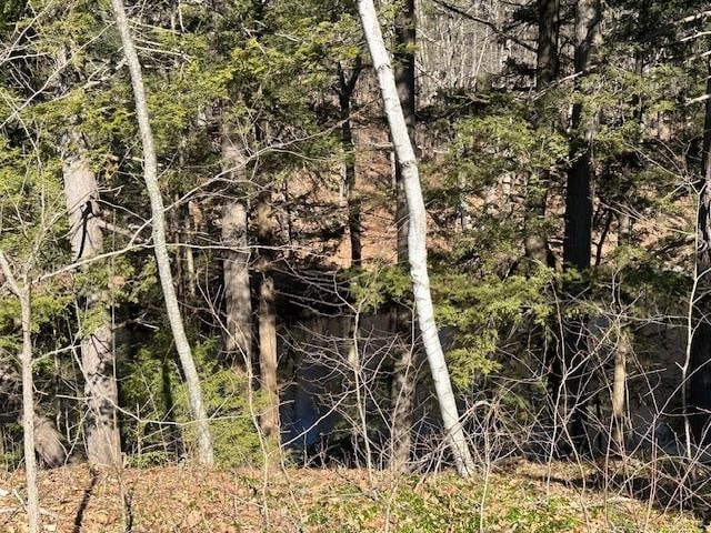 32 Ladds Ln in Epping, NH - Building Photo - Building Photo