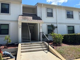 204 Meadow Ln in Oldsmar, FL - Building Photo