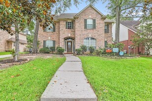 2907 Silverberry Trail in Houston, TX - Building Photo
