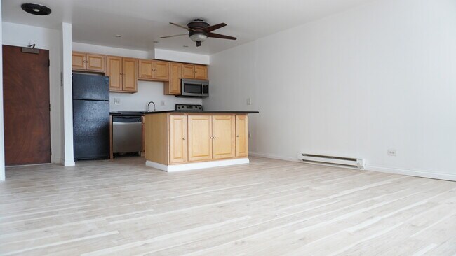 303 E Park Ave in Libertyville, IL - Building Photo - Building Photo