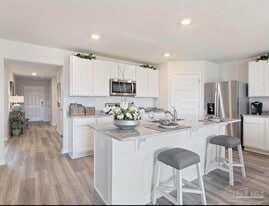 5856 Belmont Stakes Rd in Bellview, FL - Building Photo