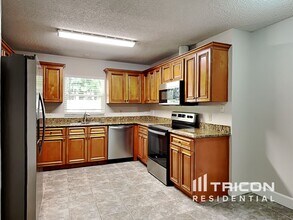 19203 Sunlake Blvd in Lutz, FL - Building Photo - Building Photo