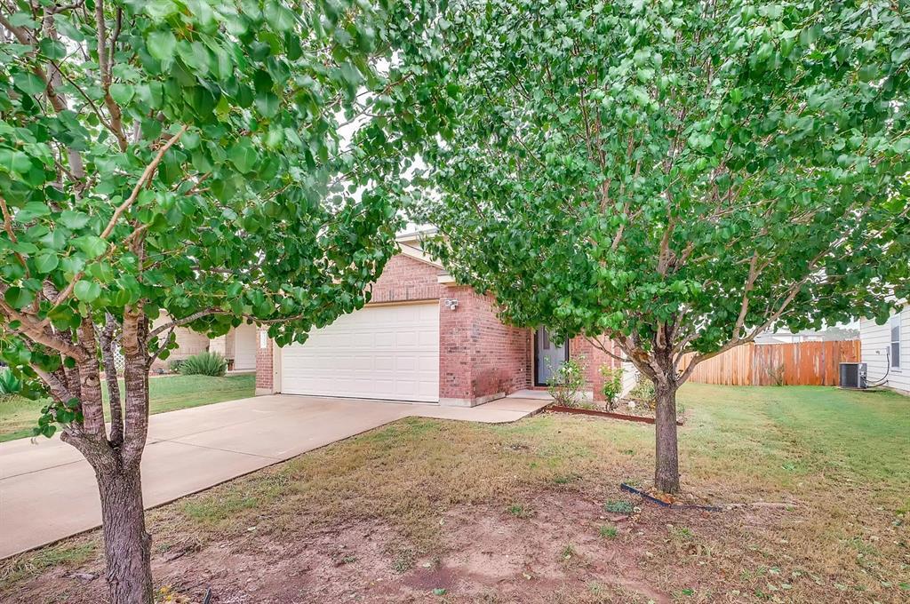 13013 Blackeyed Susan Trail in Elgin, TX - Building Photo