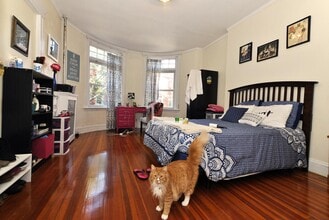 10 Strathmore Rd, Unit 2 in Brookline, MA - Building Photo - Building Photo