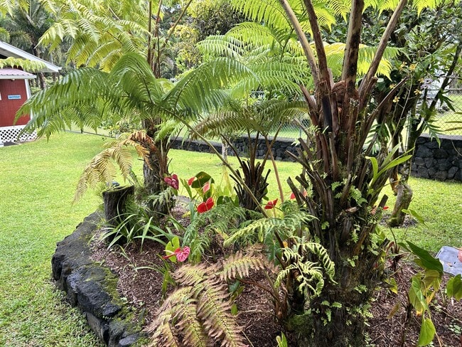 15-1810-1810 Akeakamai Loop in Pahoa, HI - Building Photo - Building Photo