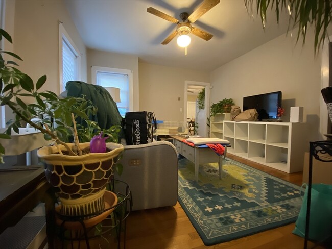property at 19 Esty St