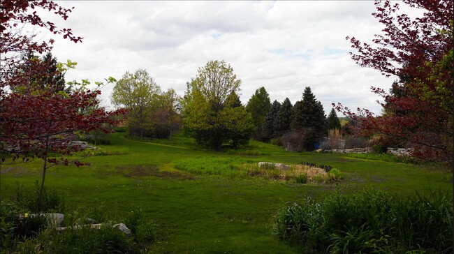 11194 Bell Rd in Lemont, IL - Building Photo - Building Photo
