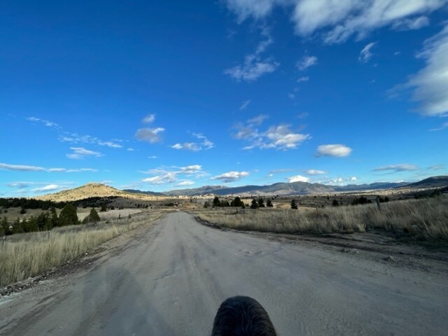 644 W Galena St, Unit 2 in Butte, MT - Building Photo - Building Photo