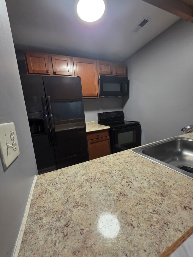 4 Banyan Wood Ct in Baltimore, MD - Building Photo - Building Photo