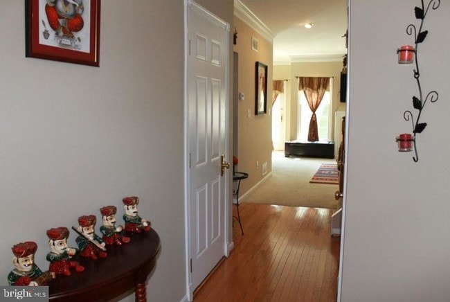 45 Caleb Ln in Princeton, NJ - Building Photo - Building Photo