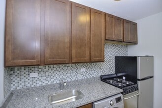 555 W Arlington in Chicago, IL - Foto de edificio - Building Photo