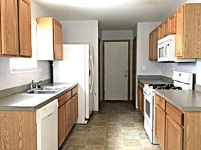 21529 Gray Wing Dr in Crest Hill, IL - Building Photo - Building Photo