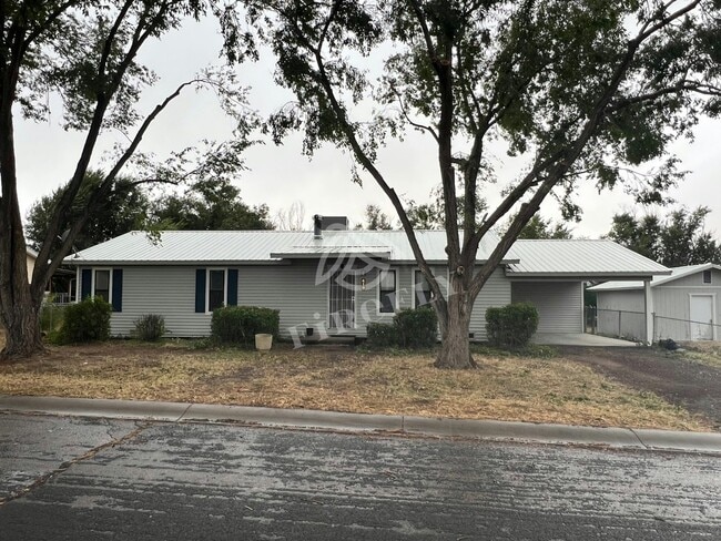 410 S El Cajon Cir in Springerville, AZ - Building Photo - Building Photo