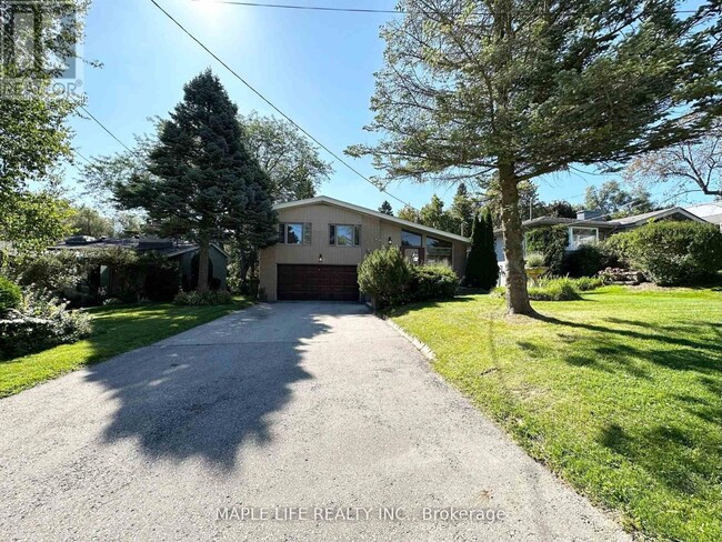 property at 91 Citation Dr