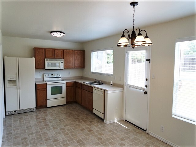 142 Blue Juniper in San Antonio, TX - Foto de edificio - Building Photo