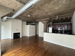 1069 W 14th Pl in Chicago, IL - Building Photo - Building Photo