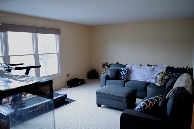 247 Nantucket Harbor in Schaumburg, IL - Building Photo - Building Photo