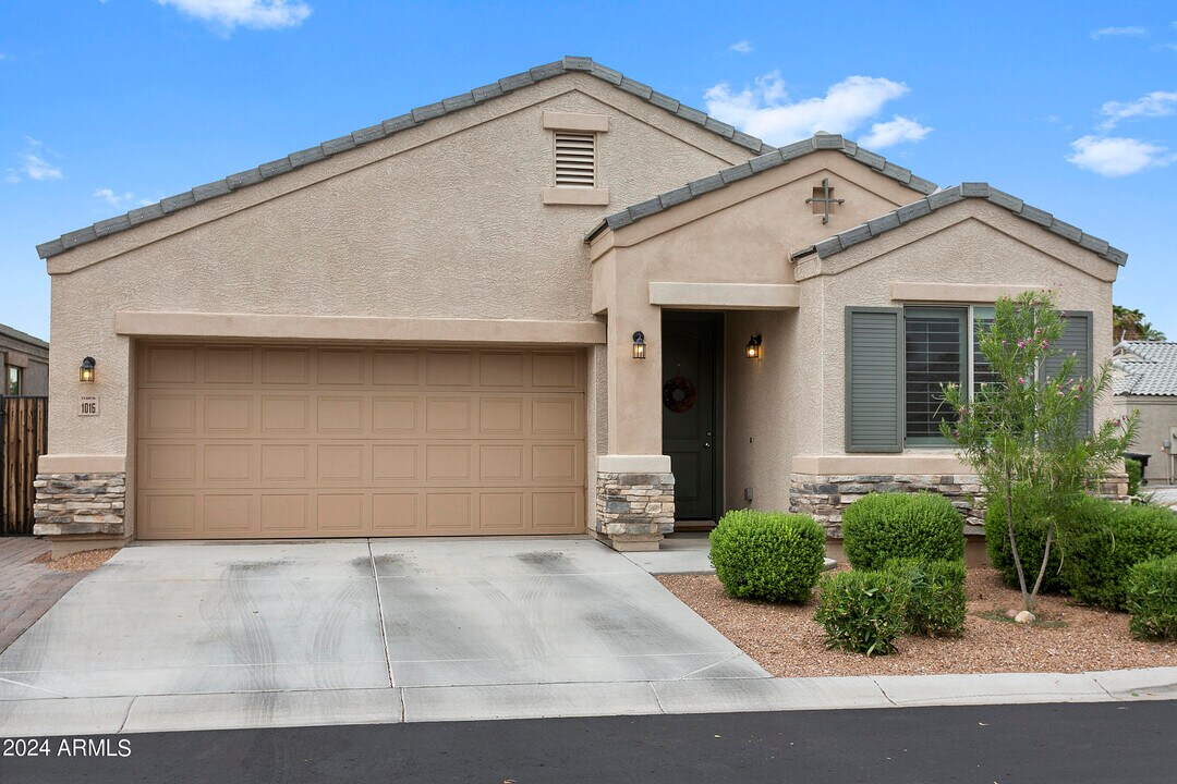 1016 W Ingram St in Mesa, AZ - Building Photo