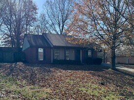 4289 Brighton Dr in Horn Lake, MS - Building Photo