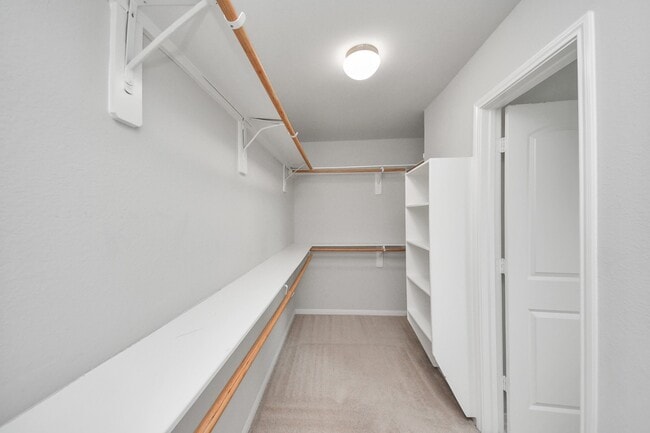 property at 2931 Palm Oaks Trail