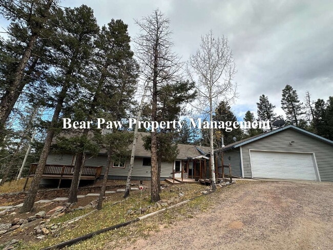 1205 Burland Dr in Bailey, CO - Building Photo - Building Photo