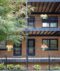 Ivy Terrace in Chicago, IL - Foto de edificio - Building Photo