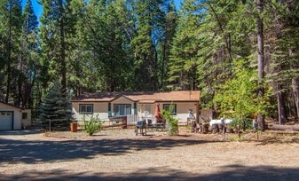 7528 Leaning Cedar Ln in Shingletown, CA - Building Photo