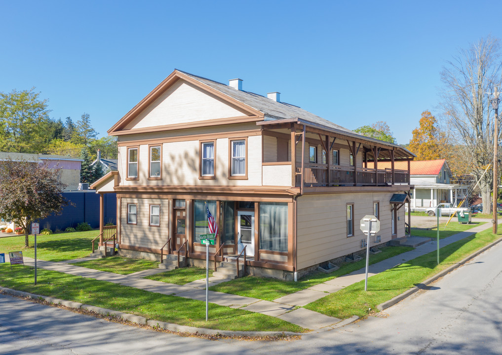 229 Main St in Unadilla, NY - Building Photo