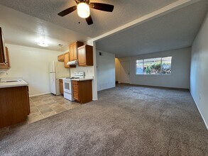 1039 W Lincoln Ave in Escondido, CA - Building Photo - Building Photo