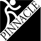 Property Management Company Logo Pinnacle Investment Properties