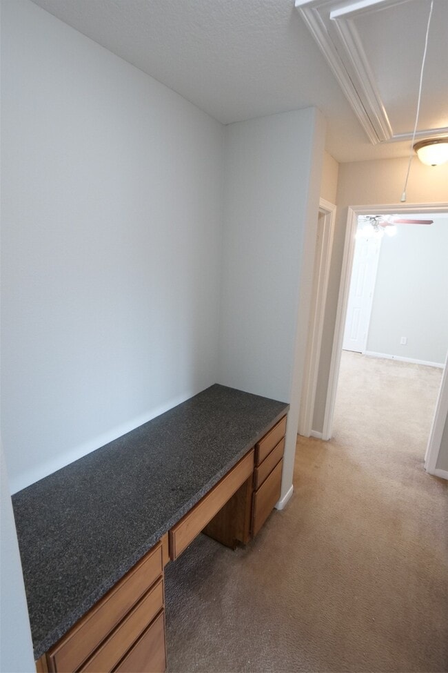 26814 Harwood Heights Dr in Katy, TX - Building Photo - Building Photo