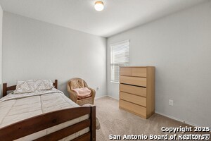 10445 Margarita Loop in Converse, TX - Building Photo - Building Photo