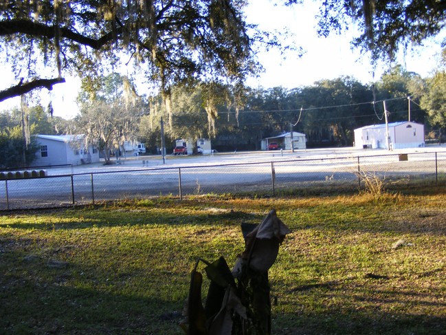 Self Mobile Home Park in Seffner, FL - Building Photo - Building Photo