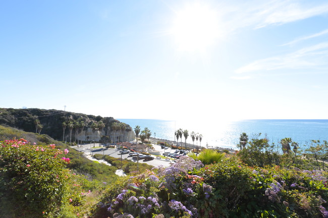 Parkview Manor in San Clemente, CA - Foto de edificio - Building Photo