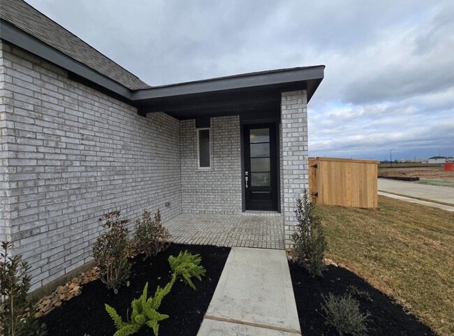 28702 Grand Mesquite Ln in Hockley, TX - Building Photo - Building Photo