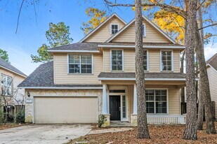 22 Wildflower Trace Pl in Spring, TX - Building Photo