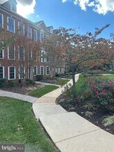 5012 Cameo Terrace in Perry Hall, MD - Building Photo - Building Photo