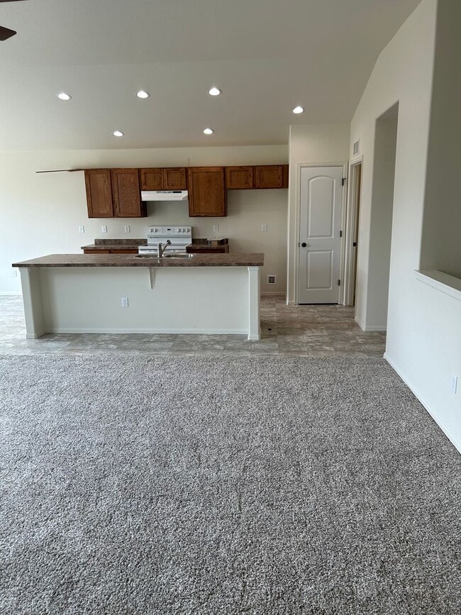 4556 Mountain Sky St in Johnstown, CO - Building Photo - Building Photo