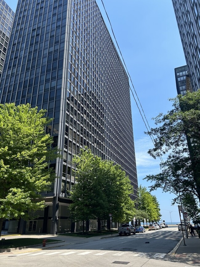 property at 900 N Lake Shore Dr