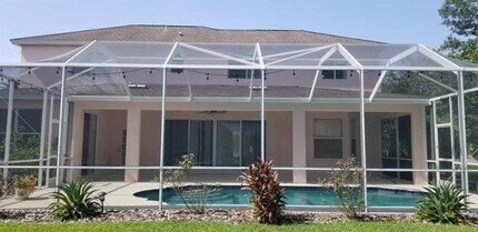 10709 Cory Lake Dr in Tampa, FL - Building Photo - Building Photo