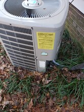 8810 Albemarle Rd in Charlotte, NC - Building Photo - Building Photo