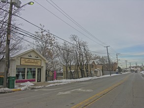 217 E Illinois St in Lemont, IL - Building Photo - Building Photo