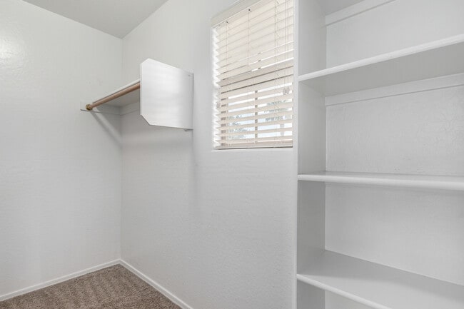 4509 E Loma Vista St in Gilbert, AZ - Building Photo - Building Photo