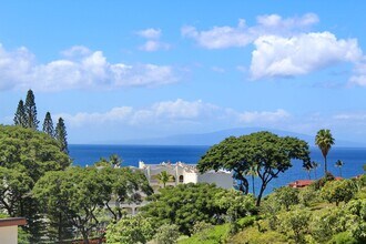 172 Holomoana Way in Wailea, HI - Building Photo - Building Photo